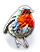 Robin