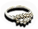 BSL-ring02