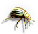 Beetle