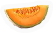 Cantaloupe
