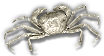 Crab