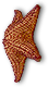 Starfish