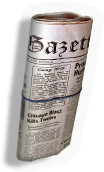 Newspaper