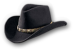 Stetson