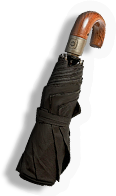 Umbrella