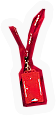 ID Lanyard