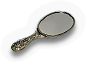 BSL-mirror