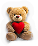 Teddy