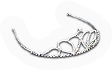 Tiara