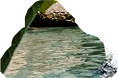 HOT-water