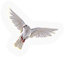 Dove