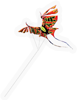Kite