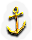 BNS-anchor