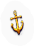 BNS-anchor