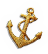 BNS-anchor
