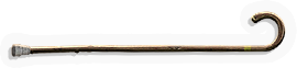 Walking Stick