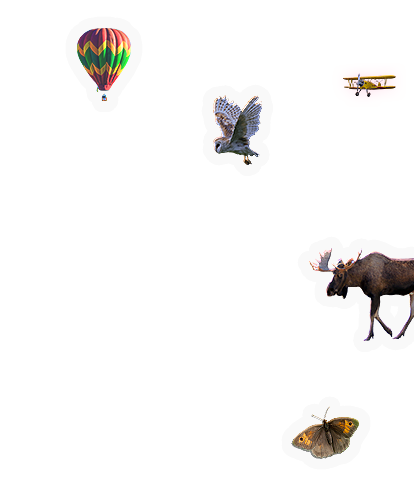 Composite image 6