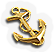 BNS-anchor