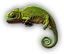 Chameleon