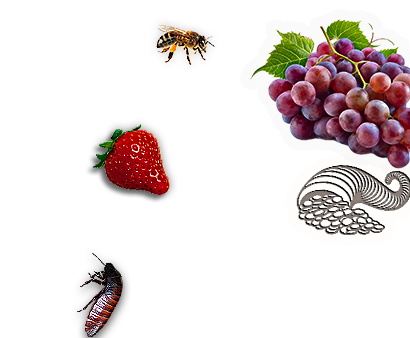 Composite image 6