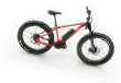 BSL-bike03