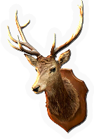 Hunting Trophy