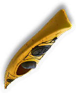 Kayak