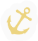 BNS-anchor