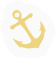 BNS-anchor