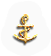 BNS-anchor