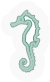 Sea Horse