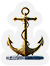 BNS-anchor