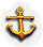 BNS-anchor