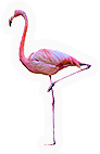 Flying thing
