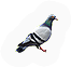 Flying thing