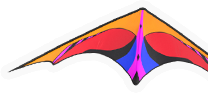 Flying thing