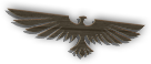 Flying thing
