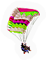 Flying thing