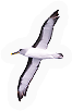 Flying thing