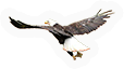 Flying thing