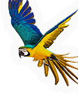 Flying thing