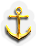 BNS-anchor
