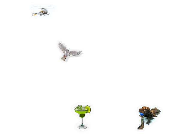 Composite image 14
