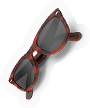 INS-sunglasses