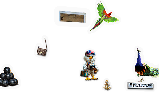 Composite image 6