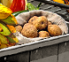 These were the first Vegetables grown in Space.