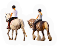 Horses