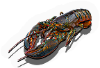 Lobster