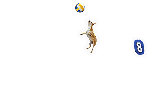 Composite image 4