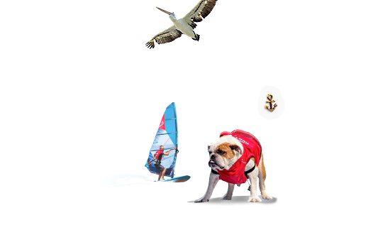 Composite image 6